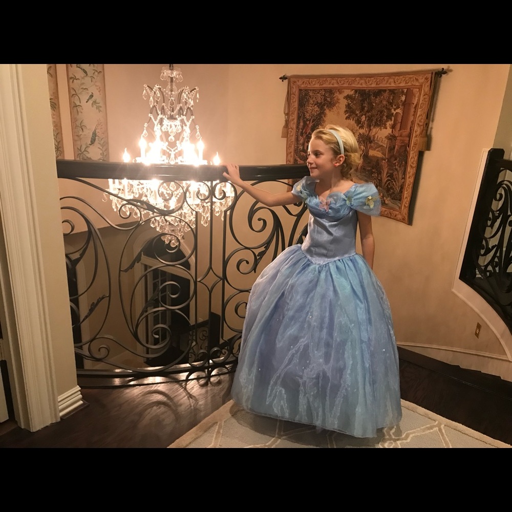 Disney Deluxe Cinderella Dress!